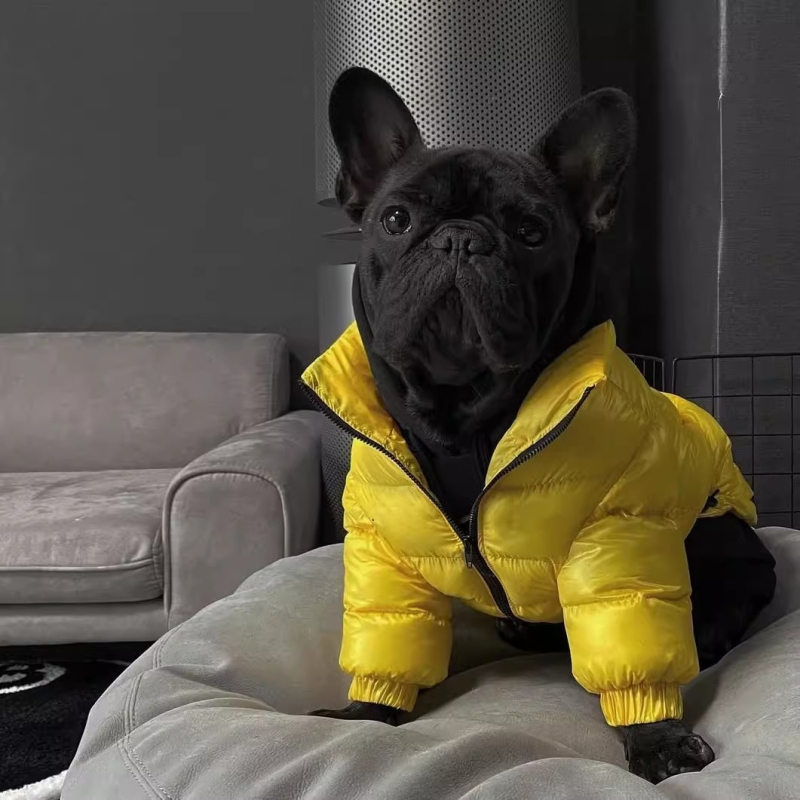 Winter Clothing In French - Cappotto per cani carlino Giacca Bulldog