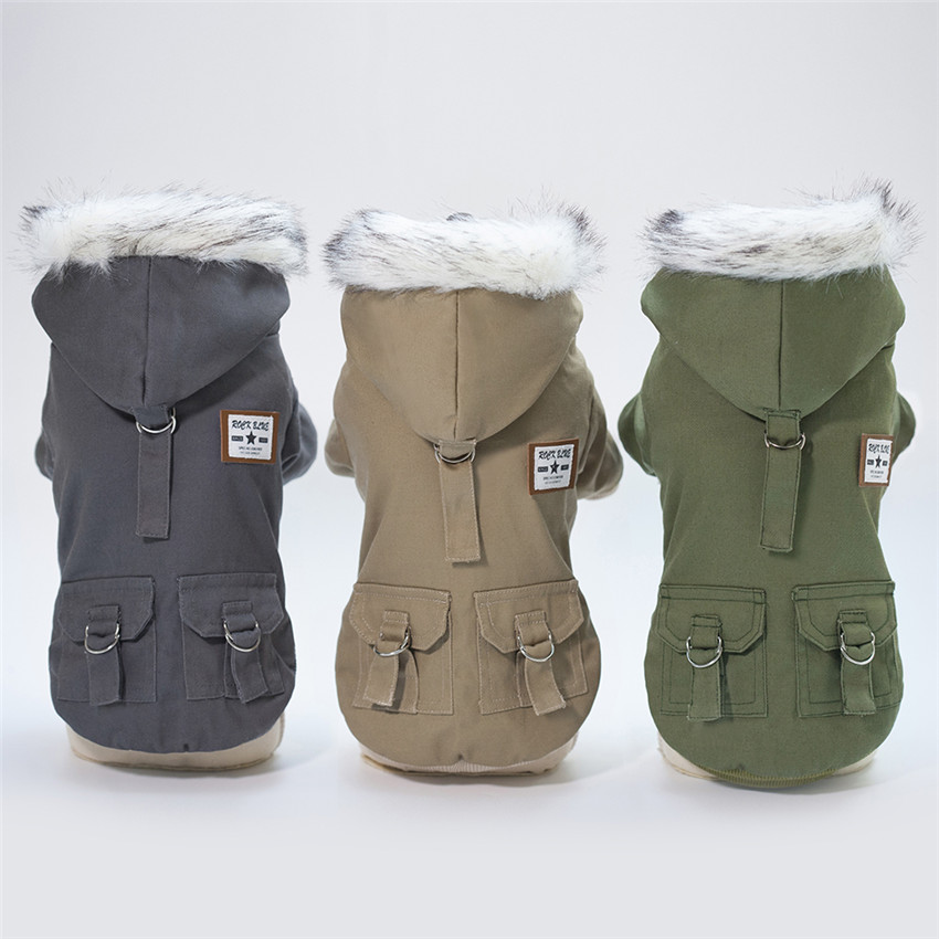 Winter Clothing In French - Abbigliamento per cani di piccola taglia