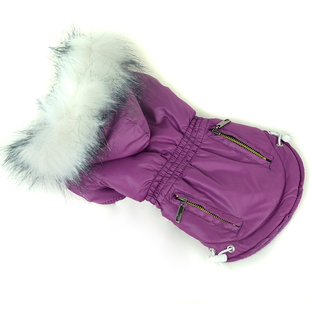 Vestiti per cani invernali cal - Winter Clothing In French recensione e prezzo