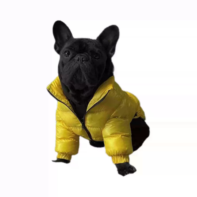 Cappotto per cani carlino Giac - Winter Clothing In French recensione e prezzo