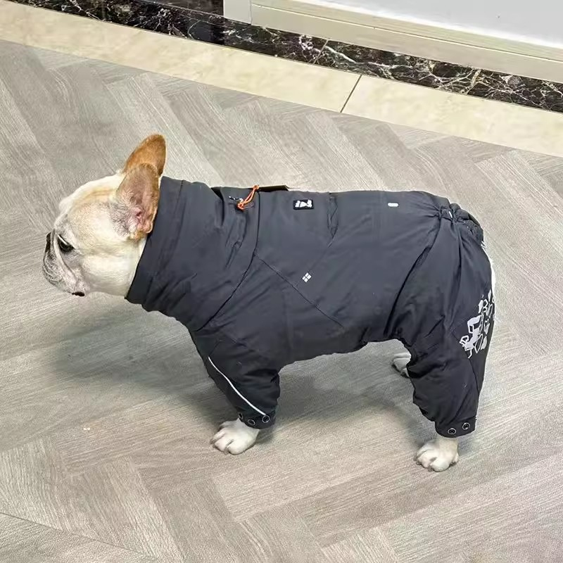 Bulldog francese Abbigliamento - Winter Clothing In French recensione e prezzo
