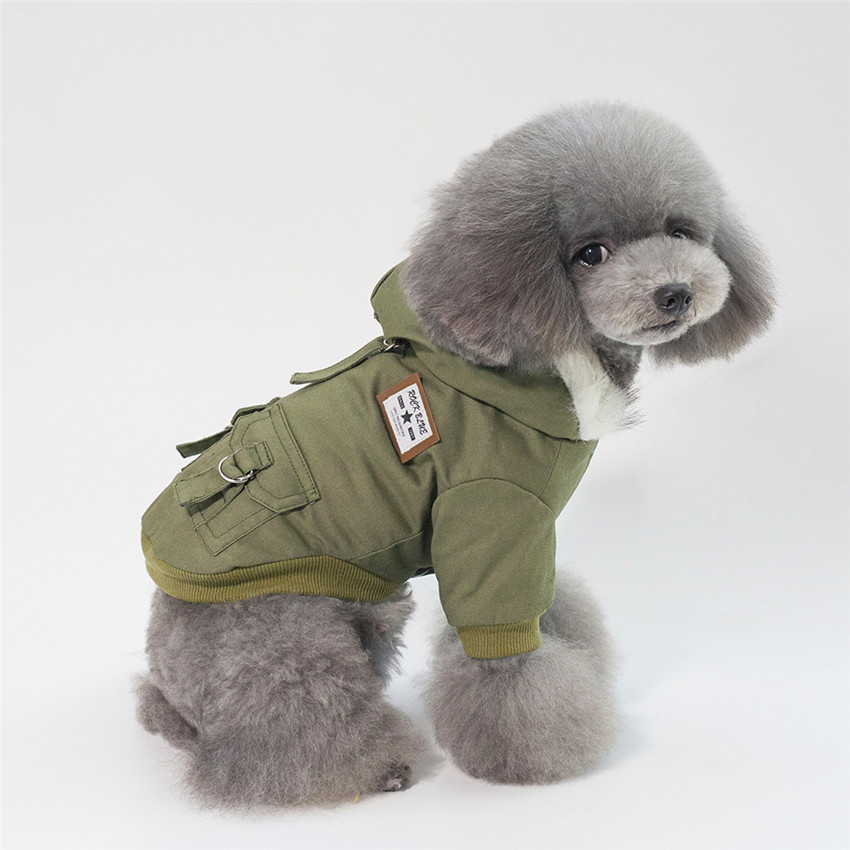 Abbigliamento per cani di picc - Winter Clothing In French recensione e prezzo