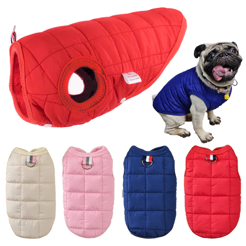 Giacca invernale in cotone per - Winter Clothing In French recensione e prezzo