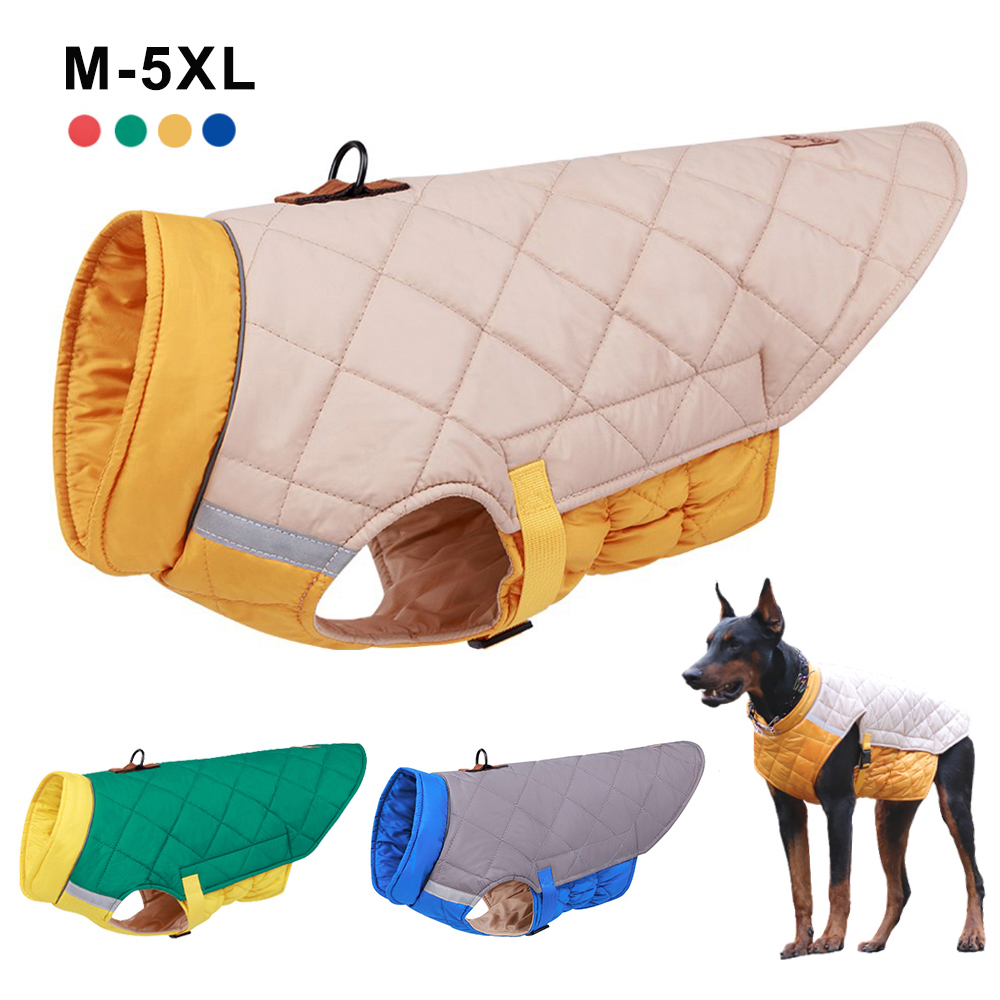 Vestiti per cani di taglia gra - Winter Clothing In French recensione e prezzo
