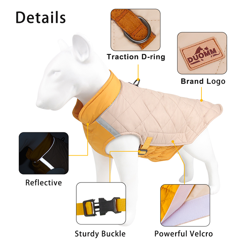 Vestiti per cani di taglia gra - Winter Clothing In French recensione e prezzo