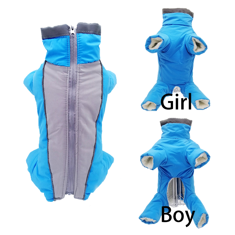 Vestiti invernali per cani da  - Winter Clothing In French recensione e prezzo