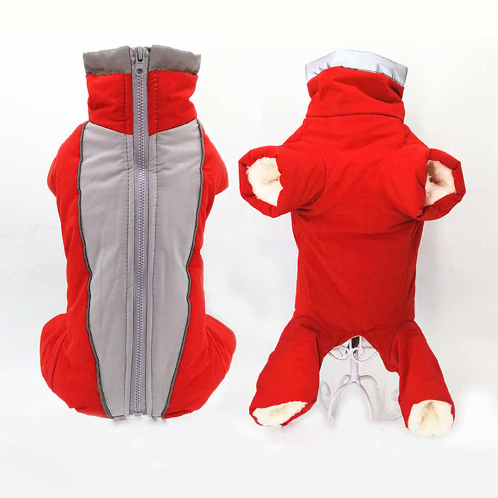 Vestiti invernali per cani da  - Winter Clothing In French recensione e prezzo
